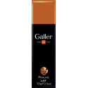 GALLER BATON LAIT PRALINE 70G