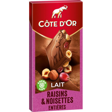 Côte d’Or Lait Raisins et Noisettes entières 2x180g 360g