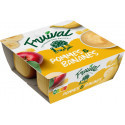 FRUIVAL Compote pomme banane les 4 pots de 100g
