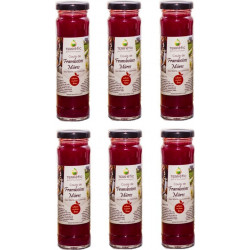 NC Lot 6x Coulis De Framboises & Mûres Mont Du Lyonnais Terr'étic Fruit Du Travail Paysan Bocal 156ml les 6 bocaux