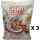 NC Lot 3x Muesli Croustillant Aux Fruits Paquet 450g les 3 unités de 0.45Kg