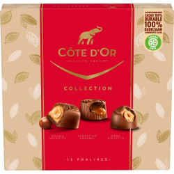 Côte d’Or Assortiment de chocolats Collection 135g