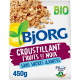 BJORG Croustillant fruits et noix bio 450g