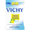 PASTILLE VICHY PASTILLE VICHY PASTILLE VICHY VICHY VICHY Bonbons au citron PASTILLE VICHY 230g