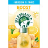 ELEPHANT Infusion à Froid Gingembre Citron Bien-être Sans Sucres 15 sachets