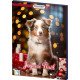 RIEGELEIN CONFISERIE Calendriers Chien Panach Joyeux Noël 65g