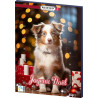 RIEGELEIN CONFISERIE Calendriers Chien Panach Joyeux Noël 65g