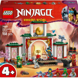 LEGO 71831 Ninjago Le Temple de Spinjitzu des Ninjas
