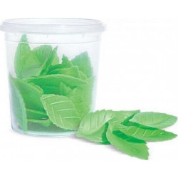 SCRAPCOOKING Décors Azymes 24 Feuilles Vertes