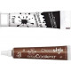 SCRAPCOOKING Stylo Chocolat + Gel Colorant Alimentaire Noir
