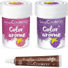 SCRAPCOOKING 2 Colorants Alimentaires Aux Arômes De Framboise & Mûre + Stylo Chocolat