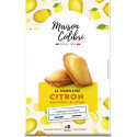 MAISON COLIBRI Madeleines Citron Eclats de Citron