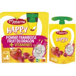 MATERNE Compote Pomme Framboise Fruit du Dragon +Vit
